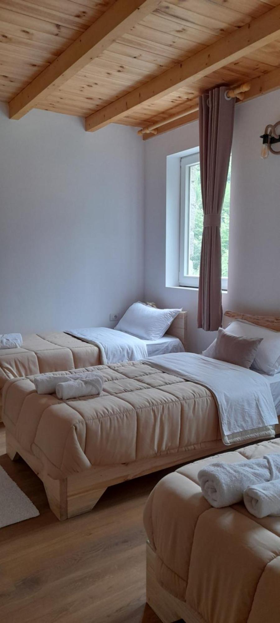 Guesthouse Dritan Tethorja Тет Стая снимка