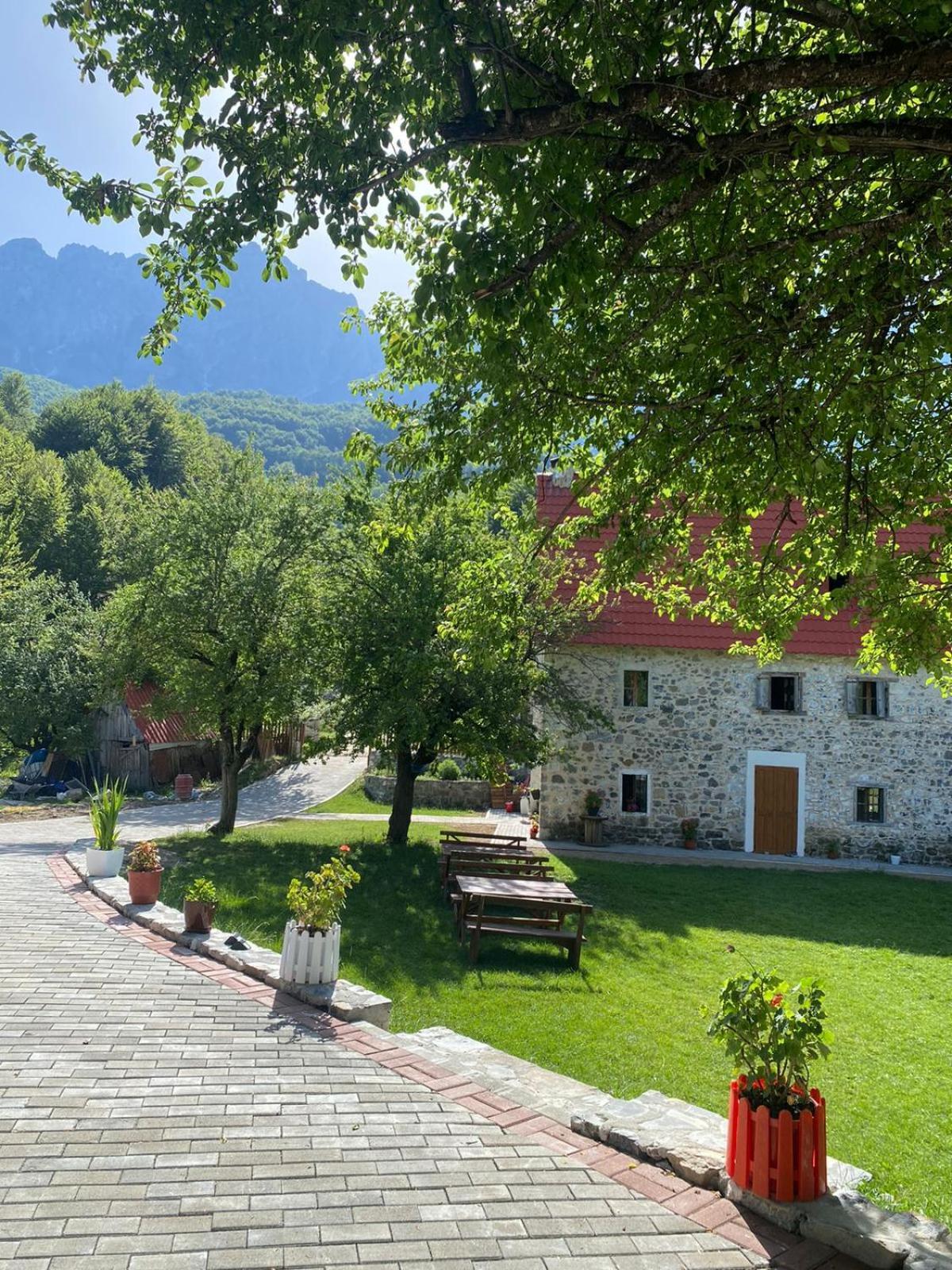 Guesthouse Dritan Tethorja Тет Екстериор снимка