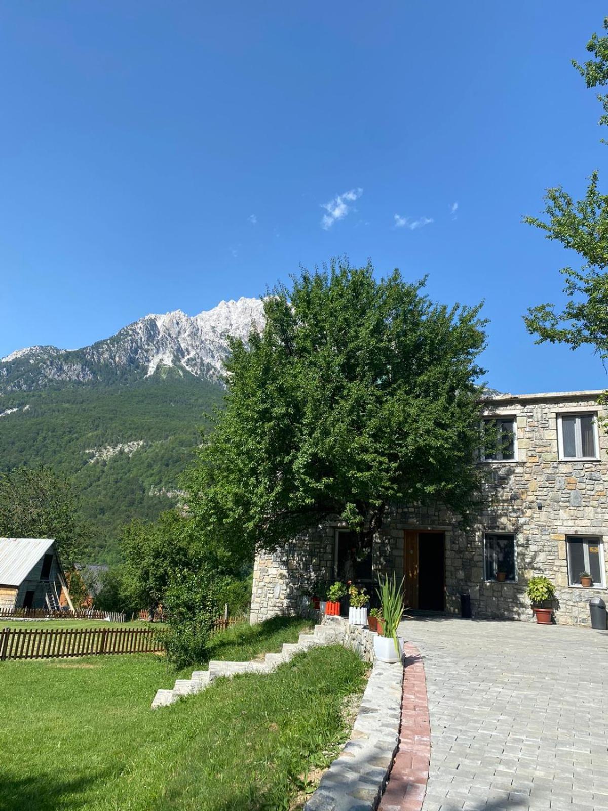 Guesthouse Dritan Tethorja Тет Екстериор снимка