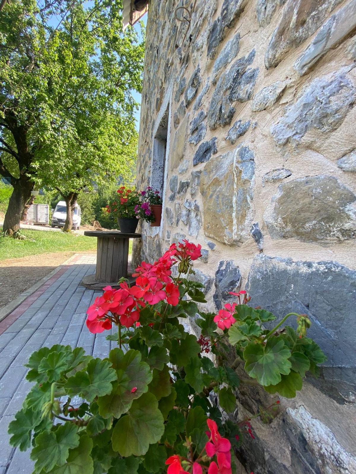 Guesthouse Dritan Tethorja Тет Екстериор снимка