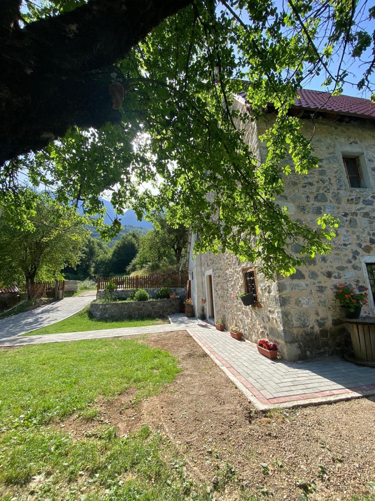Guesthouse Dritan Tethorja Тет Екстериор снимка