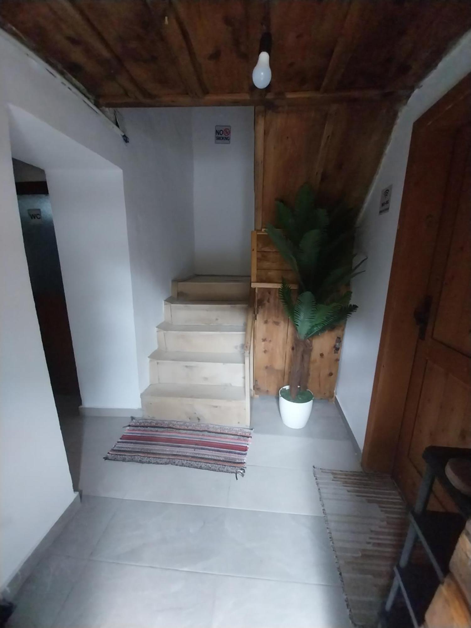 Guesthouse Dritan Tethorja Тет Екстериор снимка