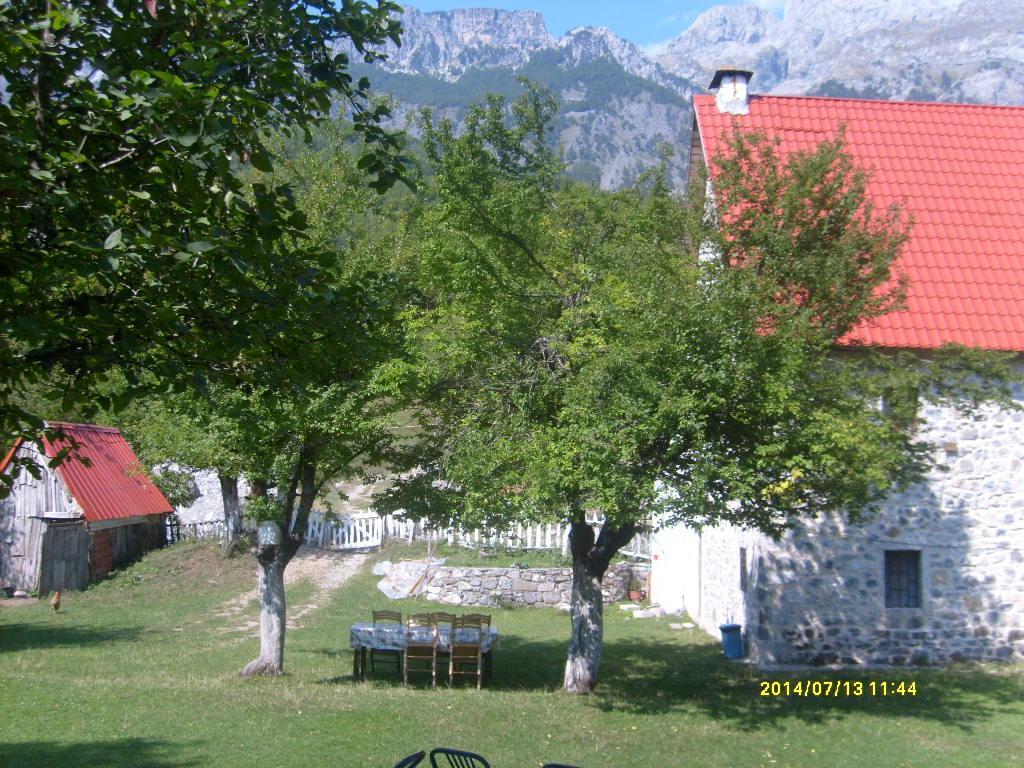 Guesthouse Dritan Tethorja Тет Екстериор снимка
