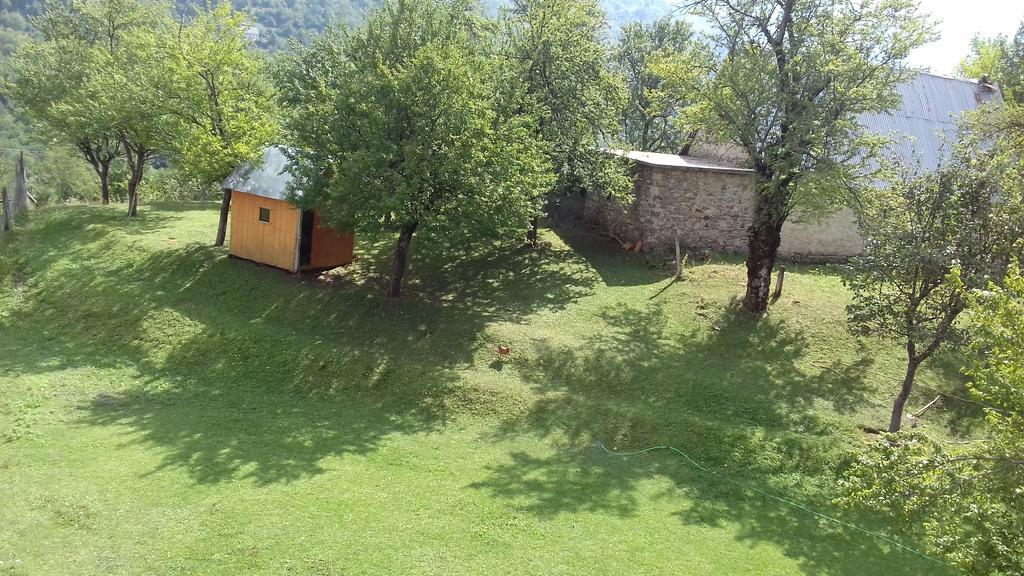 Guesthouse Dritan Tethorja Тет Екстериор снимка