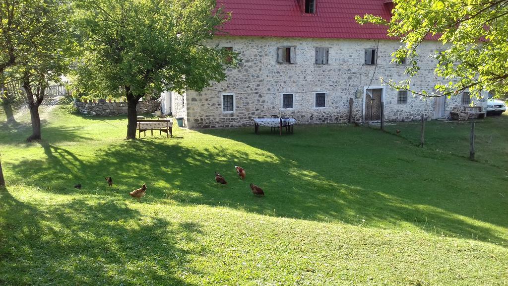 Guesthouse Dritan Tethorja Тет Екстериор снимка