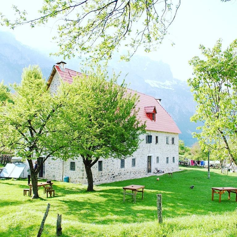 Guesthouse Dritan Tethorja Тет Екстериор снимка