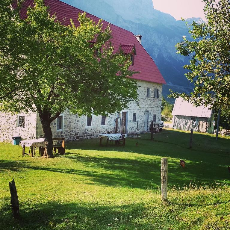 Guesthouse Dritan Tethorja Тет Екстериор снимка
