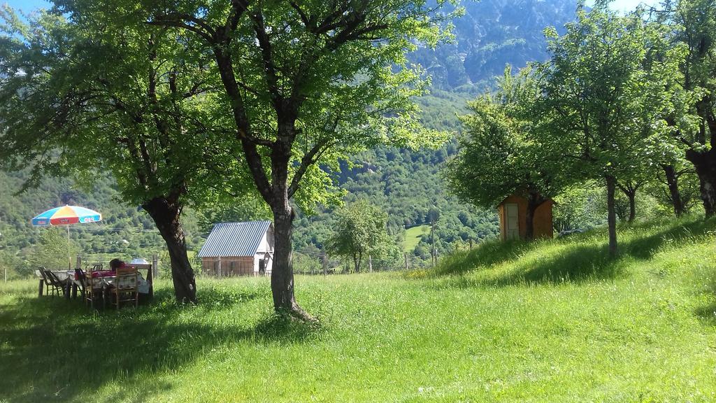Guesthouse Dritan Tethorja Тет Екстериор снимка