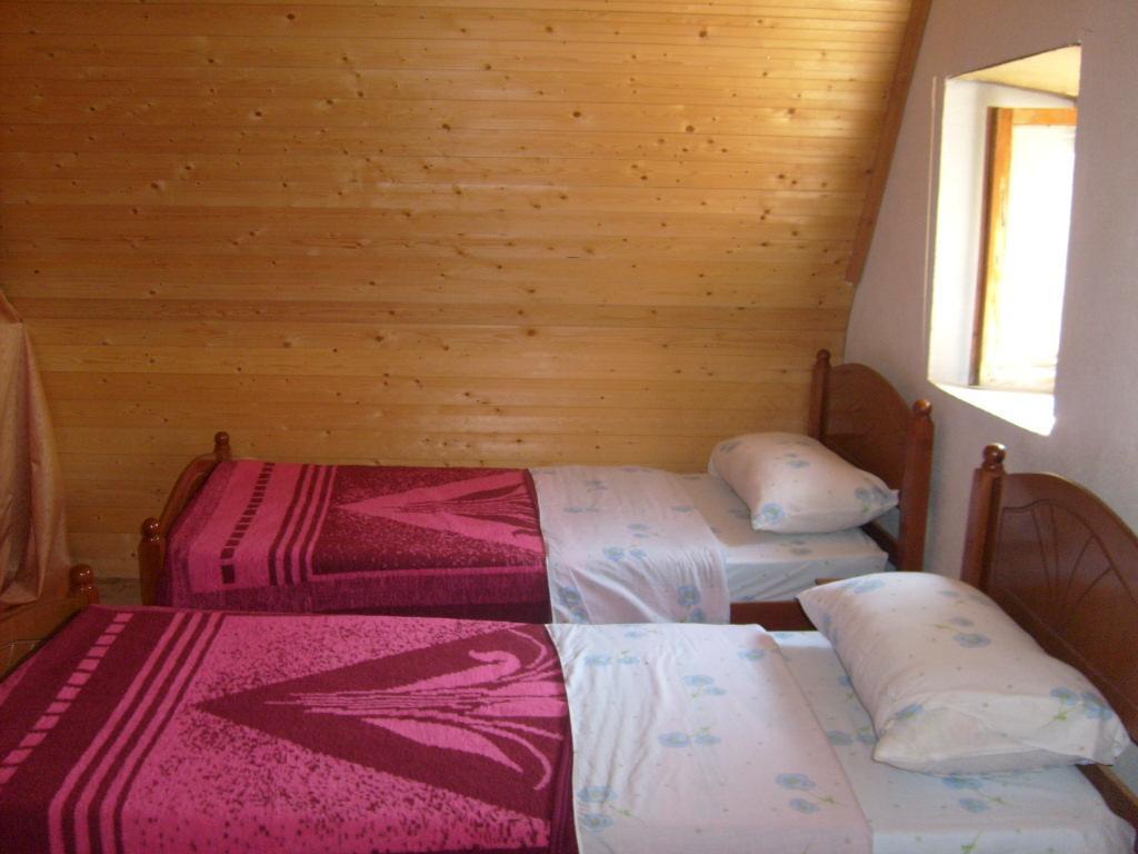 Guesthouse Dritan Tethorja Тет Екстериор снимка