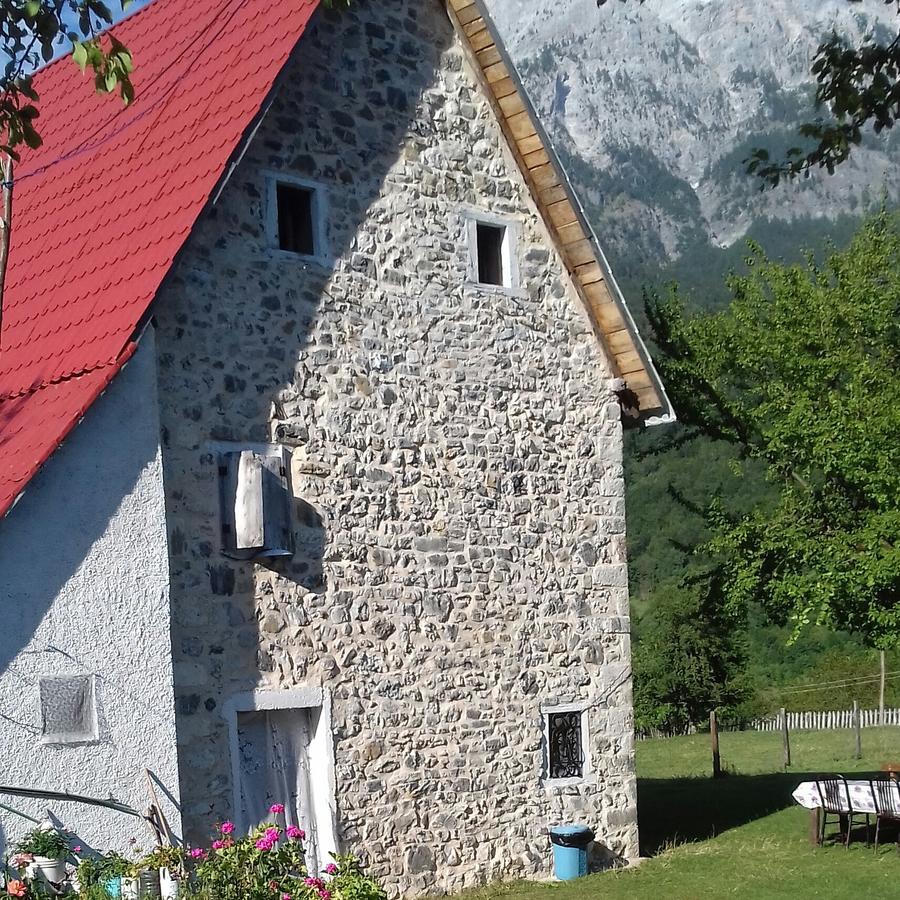 Guesthouse Dritan Tethorja Тет Екстериор снимка