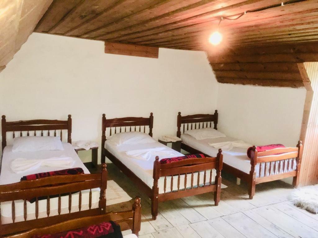 Guesthouse Dritan Tethorja Тет Екстериор снимка